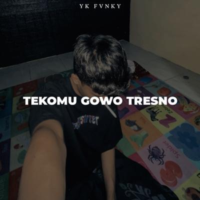 TEKOMU GOWO TRESNO MENGKANE By YK FVNKY's cover