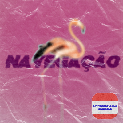 Navegação's cover