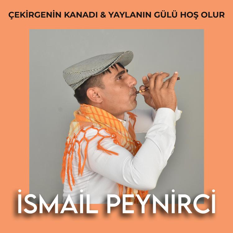 İsmail Peynirci's avatar image