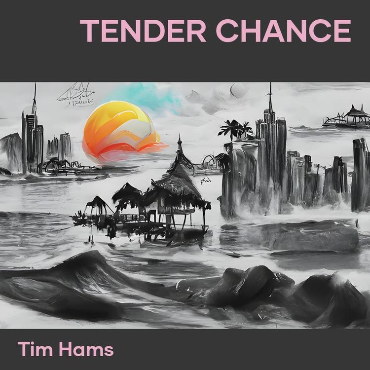 Tim Hams's avatar image