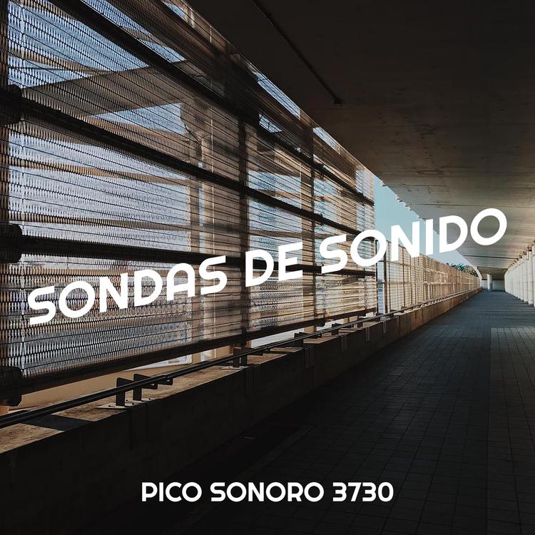 Pico Sonoro 3730's avatar image
