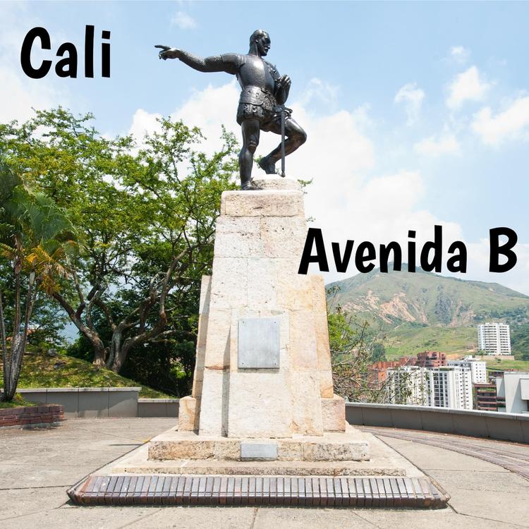 Avenida B's avatar image
