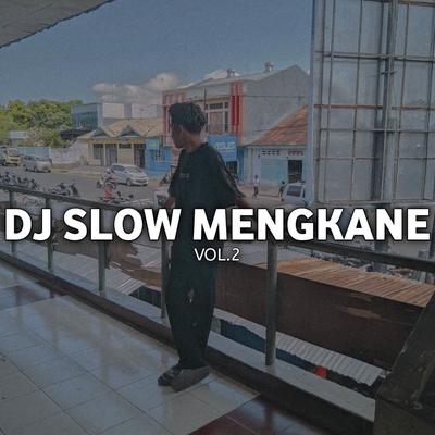 DJ SLOW MENGKANE, Vol. 2's cover