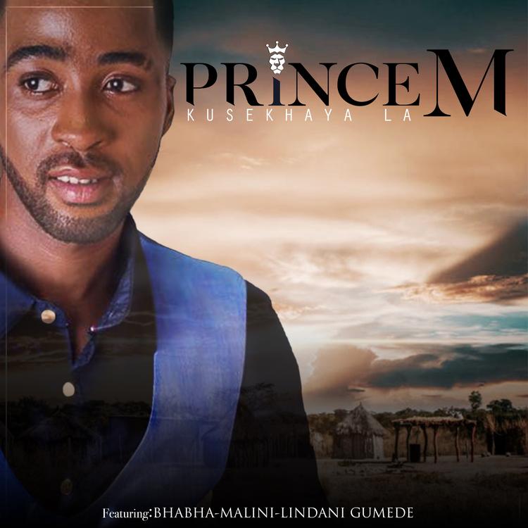 Prince M's avatar image