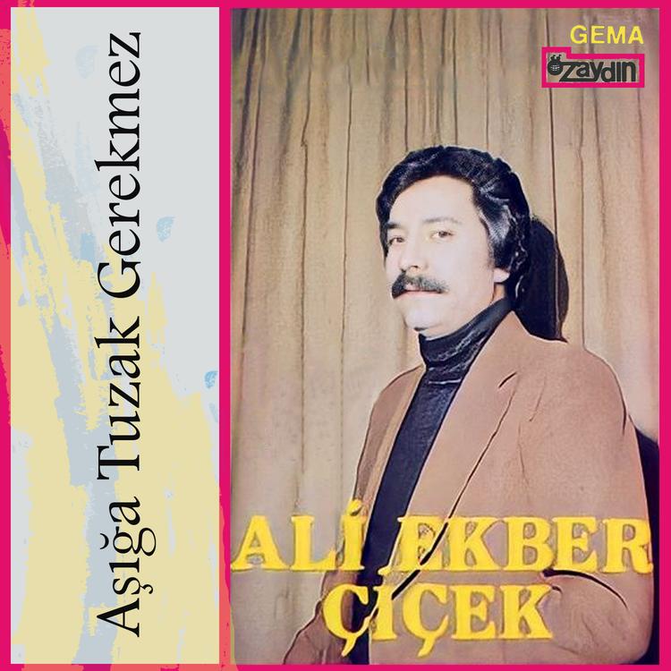 Ali Ekber Çiçek's avatar image