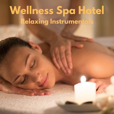 Wellness Spa Hotel's cover