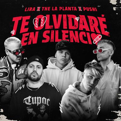 Te Olvidaré En Silencio's cover