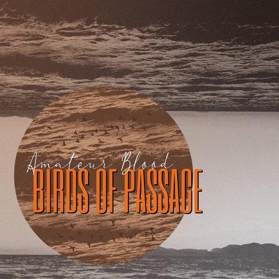 Birds Of Passage By Amateur Blood's cover