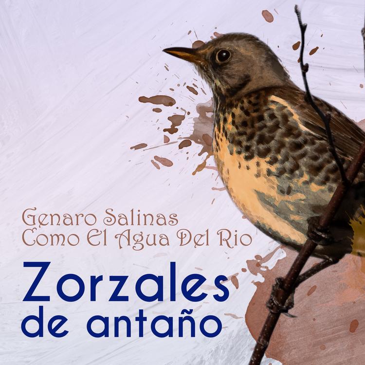 Genaro Salinas's avatar image