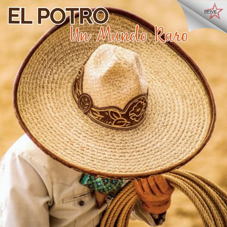 El Potro's avatar image