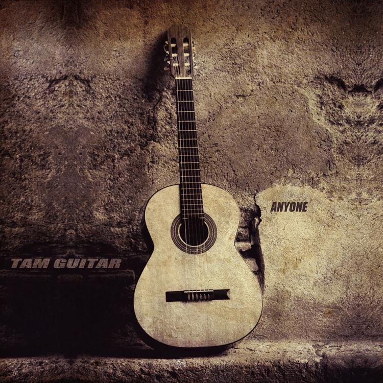 Tam Guitar's avatar image