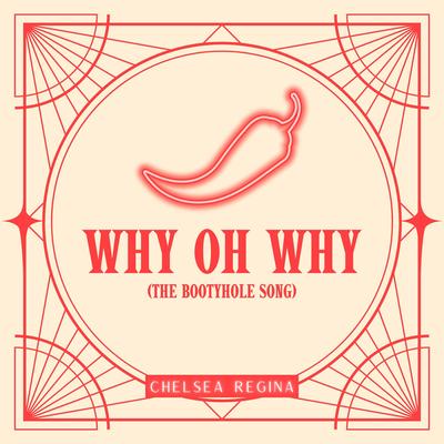 Why Oh Why (The Bootyhole Song)'s cover