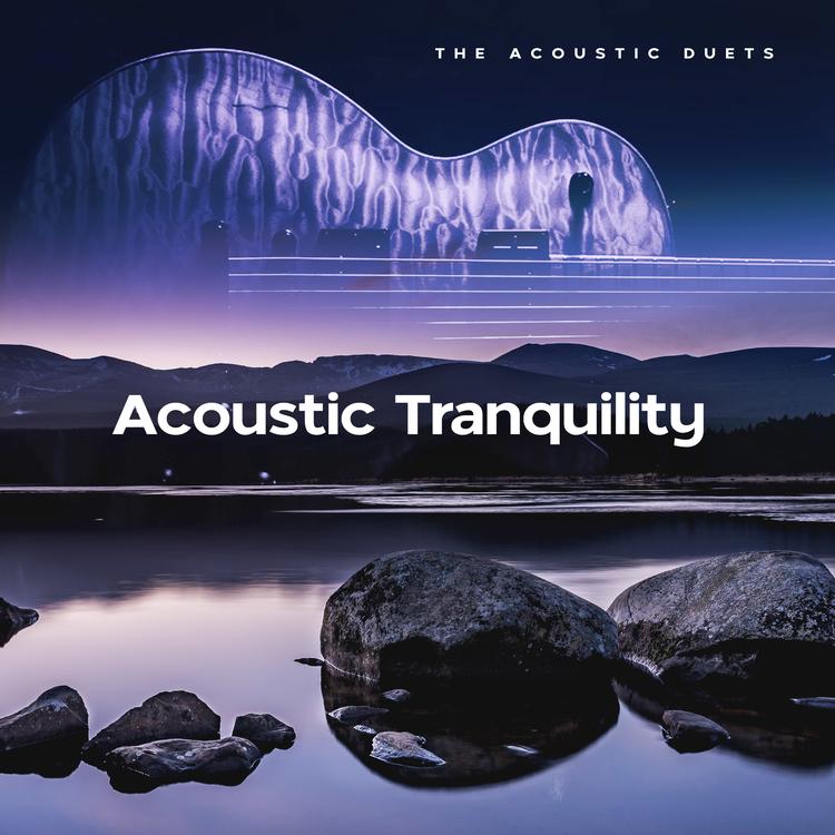 The Acoustic Duets's avatar image