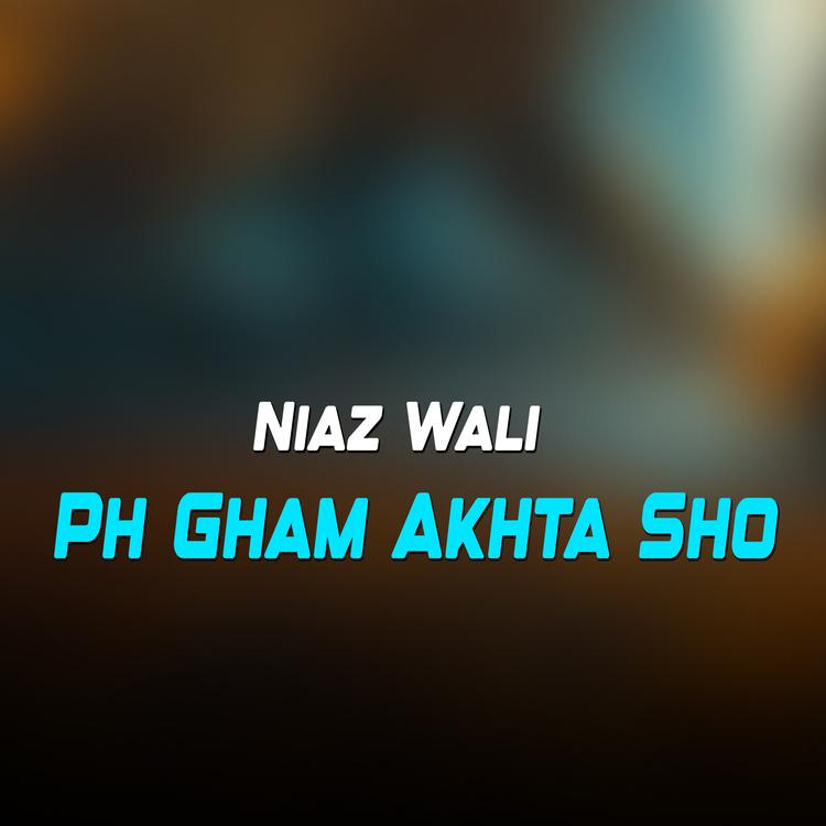 Niaz Wali's avatar image