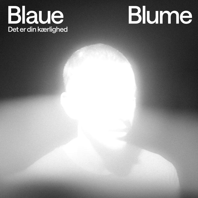 Blaue Blume's avatar image