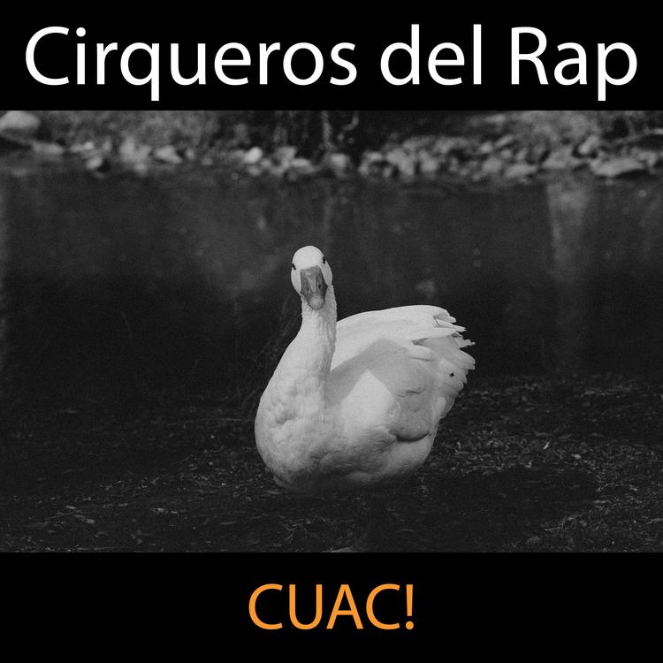 Cirqueros del Rap's avatar image