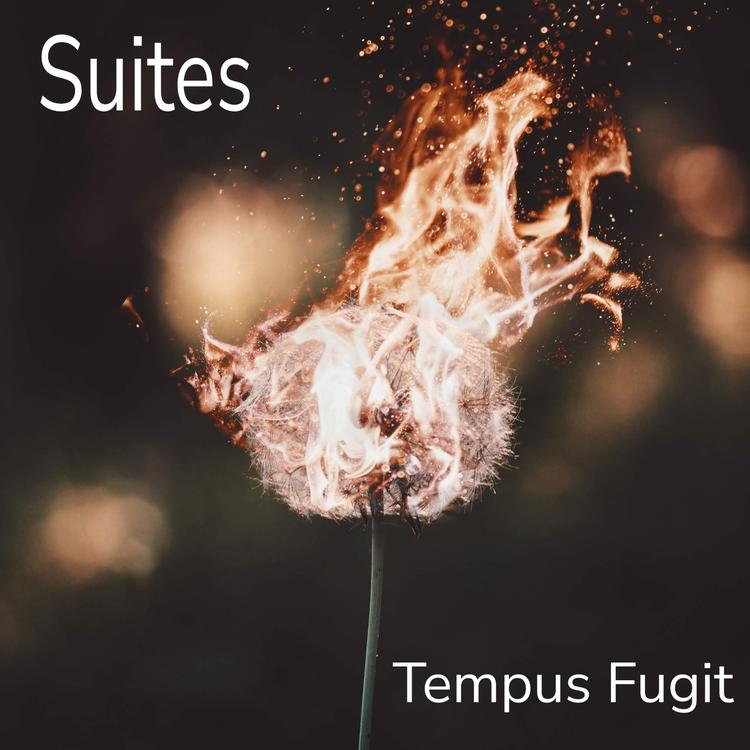 Tempus Fugit's avatar image