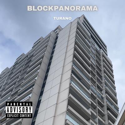 Blockpanorama's cover