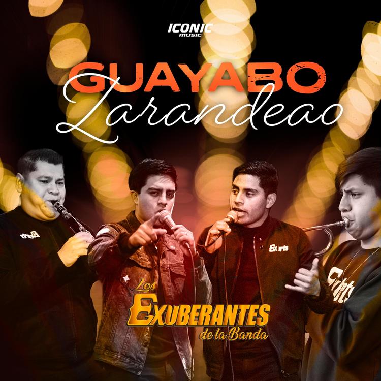 Los Exuberantes De La Banda's avatar image