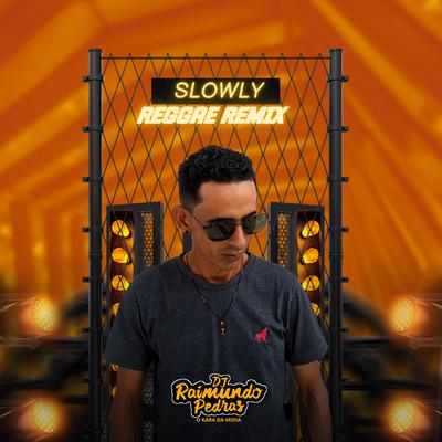 Slowly (Remix)'s cover
