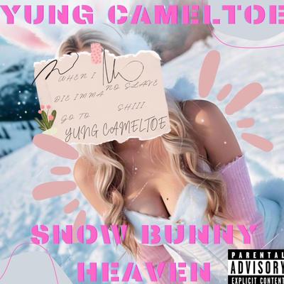 Snow Bunny Heaven By Der Witz, yungcameltoe's cover