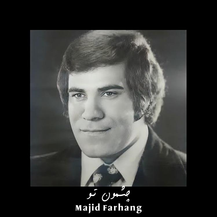 Majid Farhang's avatar image