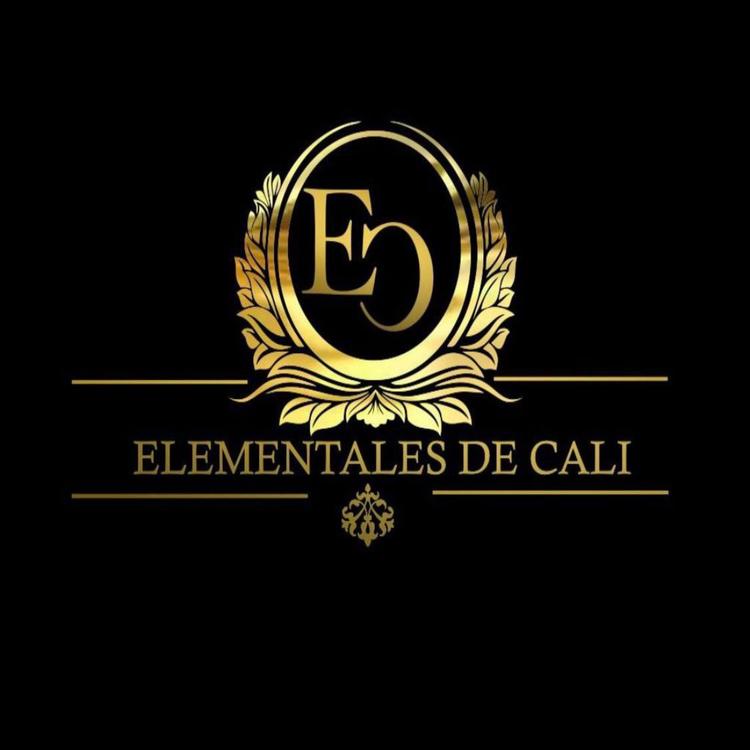 Elementales De Cali's avatar image