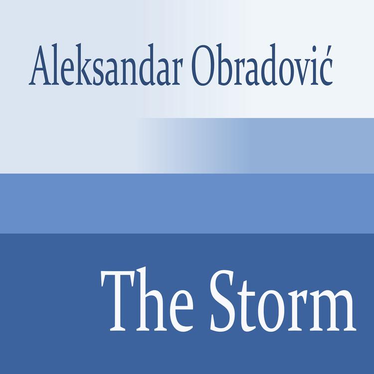 Aleksandar Obradović's avatar image