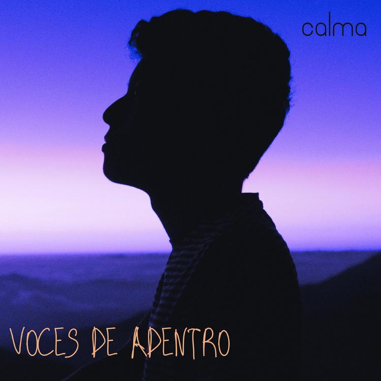 Voces De Adentro's avatar image