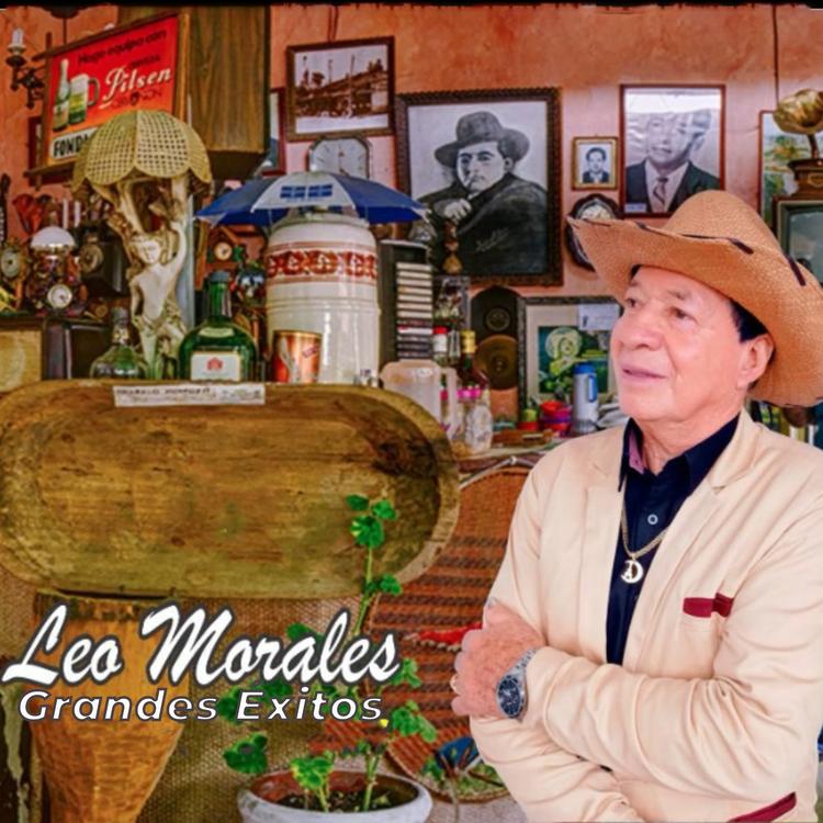 Leo Morales's avatar image