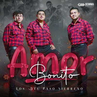 Los Del Paso Sierreño's cover