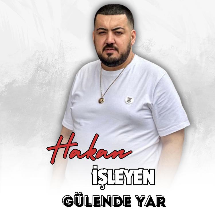 Hakan İşleyen's avatar image