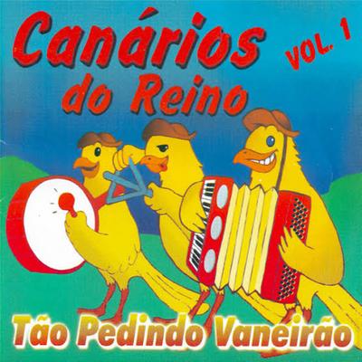 Tão Pedindo Vaneirão - Vol.1's cover