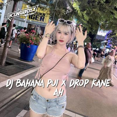 DJ BAHANA PUI X DROP KANE AH's cover