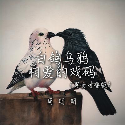 白鸽乌鸦相爱的戏码 (男女对唱版)'s cover