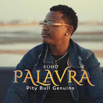 4.000 Palavra's cover