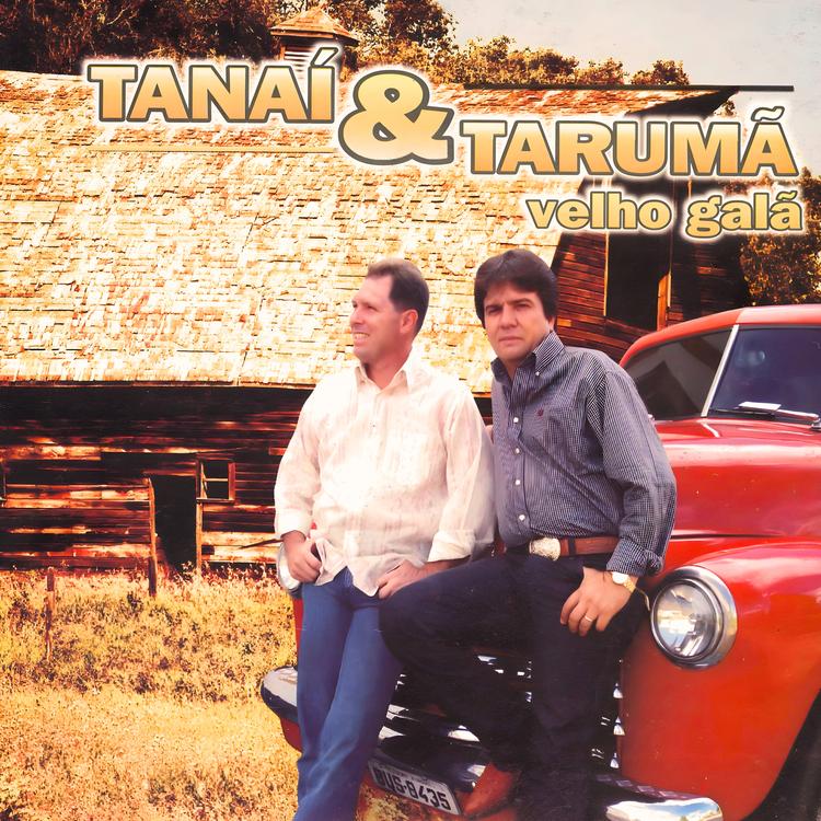 Tanaí & Tarumã's avatar image