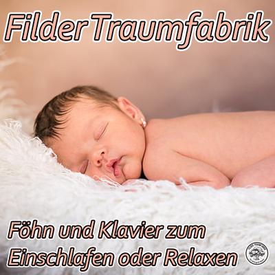 Filder Traumfabrik's cover