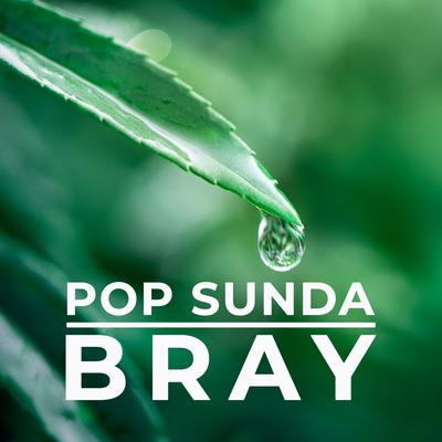 Pop Sunda Bray's cover
