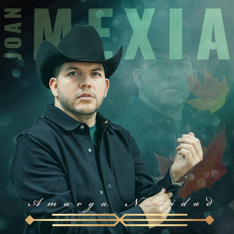 Joan Mexia's avatar image