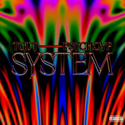 System's cover