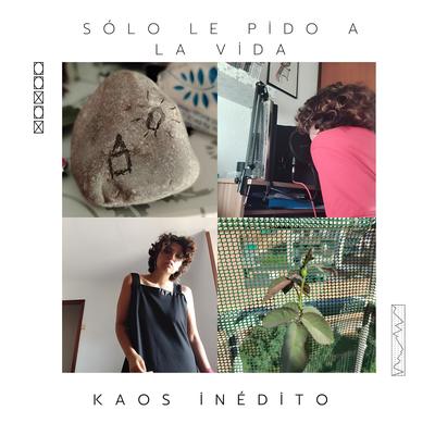 Kaos inédito's cover