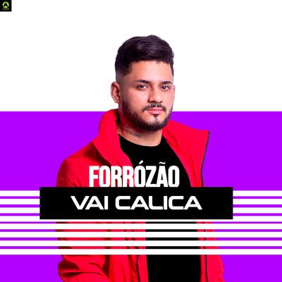 Forrózão Vai Calica By djmelk's cover