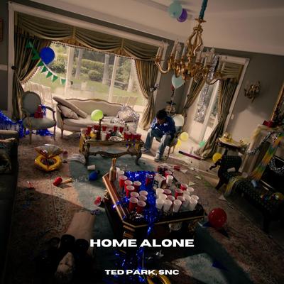 Home Alone By Ted Park, SNC's cover