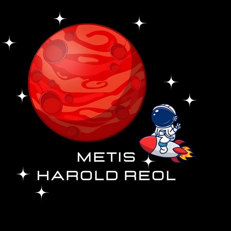 Harold REOL's avatar image
