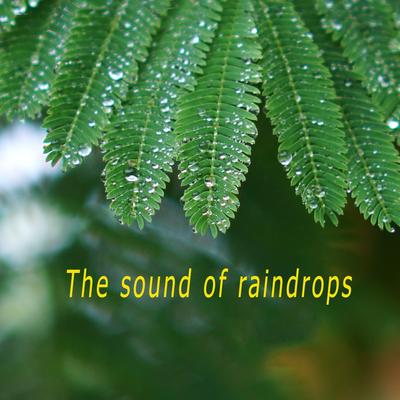 The sound of raindrops's cover