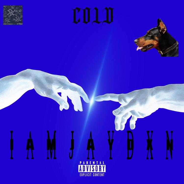 IAMJAYDXN's avatar image