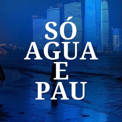 Só Agua e Pau's cover