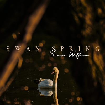 Swan Spring By Simon Westman's cover