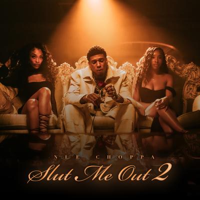 SLUT ME OUT 2's cover